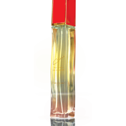 CHOICE (W) 100ML SPRAY PERFUME